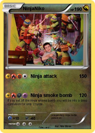 Pokemon NinjaNiko