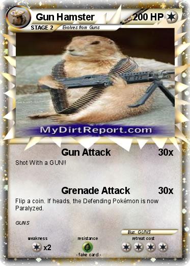 Pokemon Gun Hamster