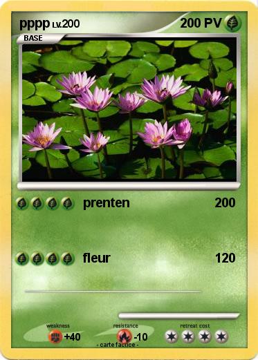 Pokemon pppp