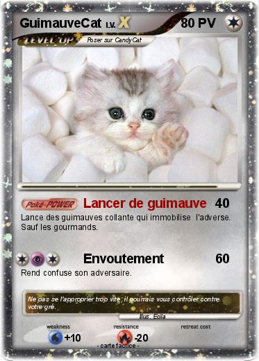 Pokemon GuimauveCat