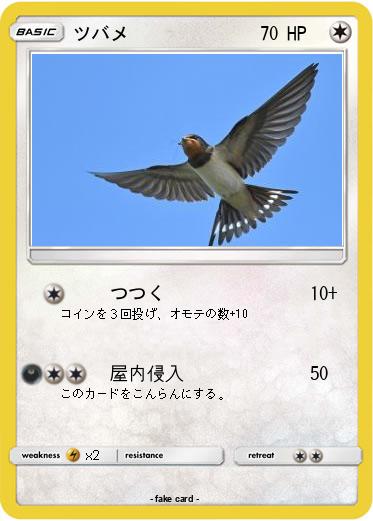 Pokemon ツバメ