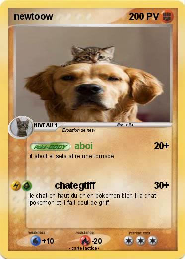 Pokemon newtoow