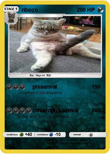 Pokemon ribozo