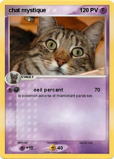 Pokemon chat mystique
