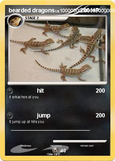Pokemon bearded dragons