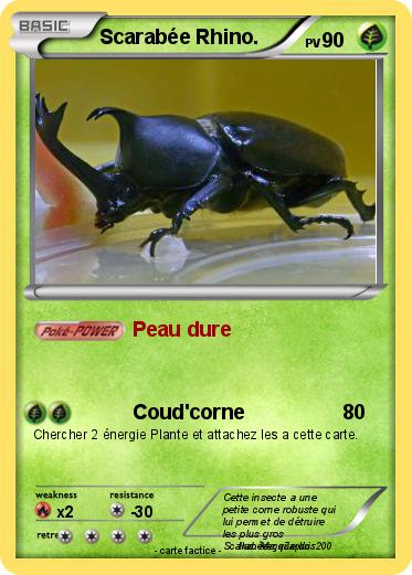 Pokemon Scarabée Rhino.