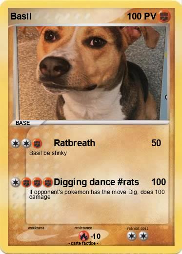 Pokemon Basil