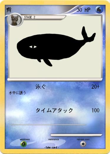 Pokemon 肴