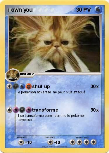 Pokemon i own you