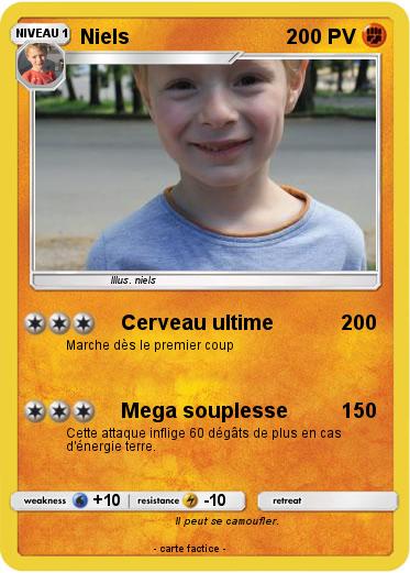 Pokemon Niels
