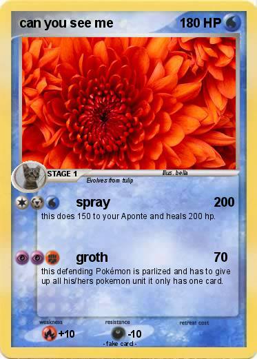 Pokemon can you see me