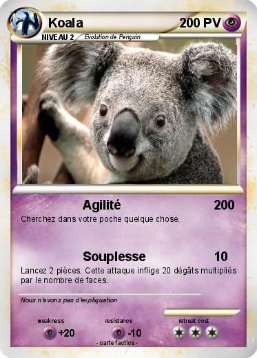 Pokemon Koala
