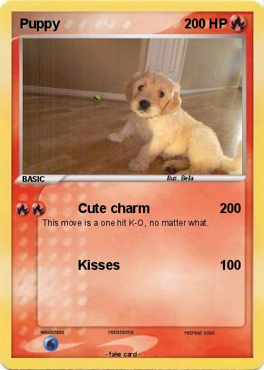 Pokemon Puppy