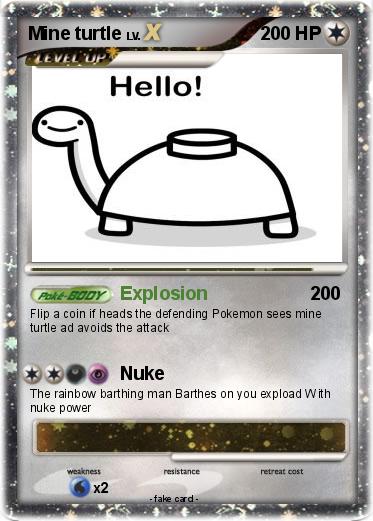 Pokemon Mine turtle