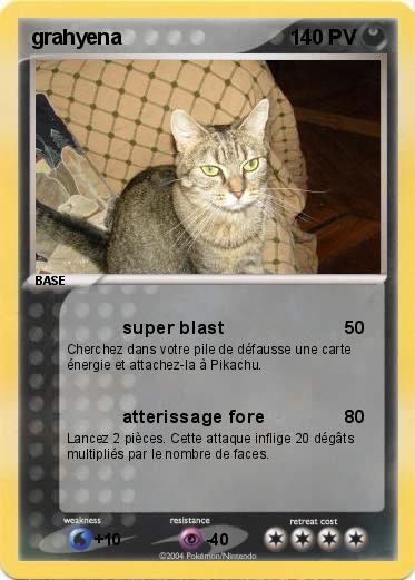Pokemon grahyena