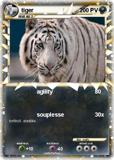 Pokemon tiger