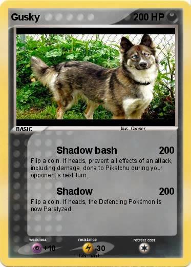 Pokemon Gusky
