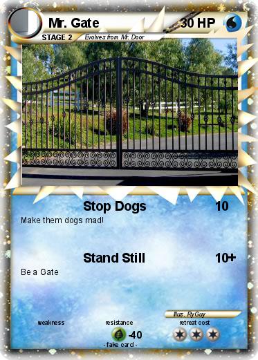Pokemon Mr. Gate
