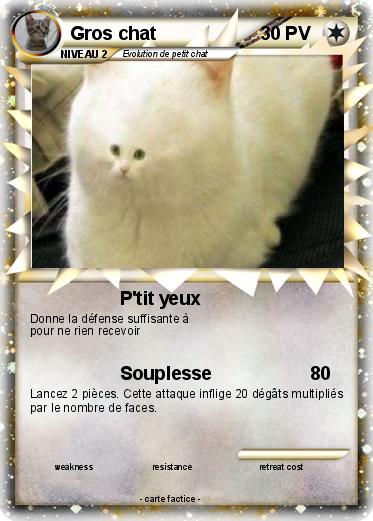 Pokemon Gros chat