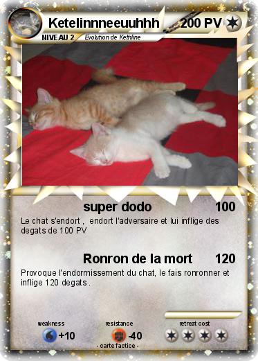 Pokemon Ketelinnneeuuhhh