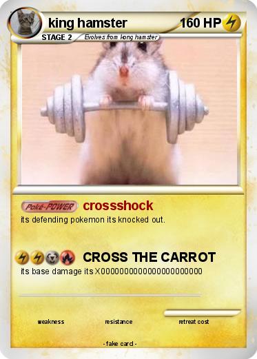 Pokemon king hamster