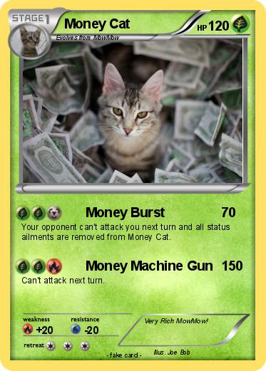 Pokemon Money Cat