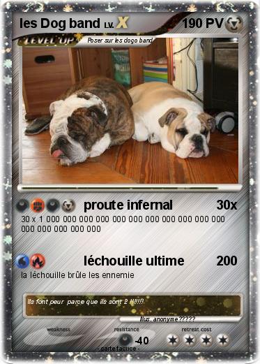 Pokemon les Dog band