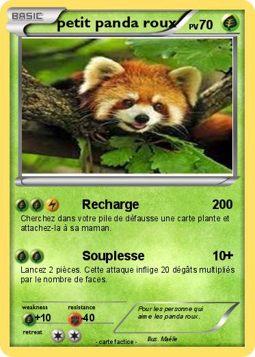 Pokemon petit panda roux