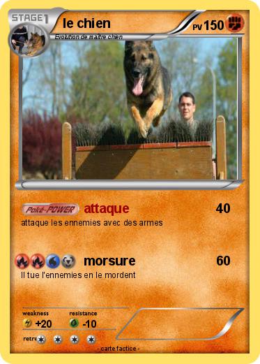 Pokemon le chien