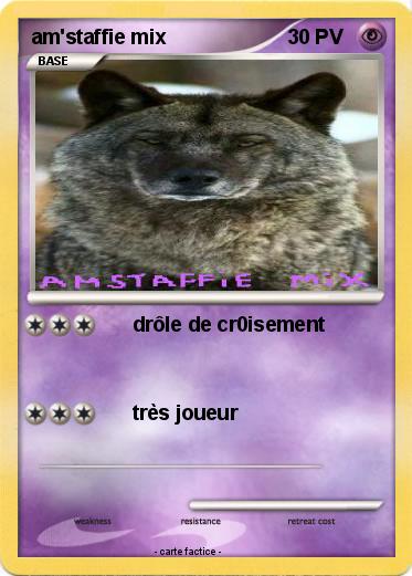 Pokemon am'staffie mix
