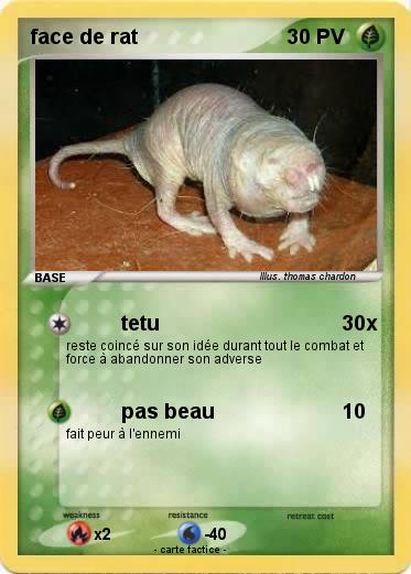 Pokemon face de rat