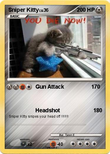 Pokemon Sniper Kitty