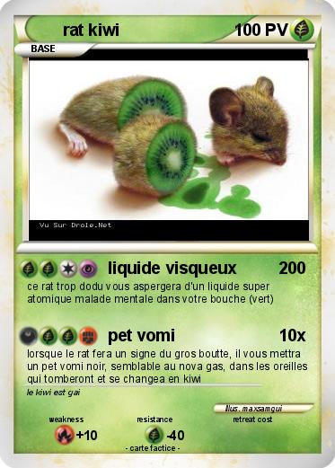 Pokemon rat kiwi