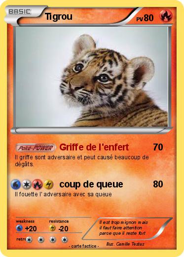 Pokemon Tigrou