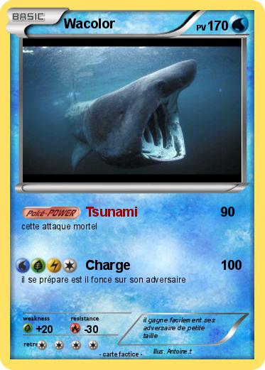 Pokemon Wacolor
