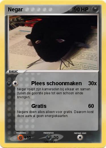 Pokemon Negar