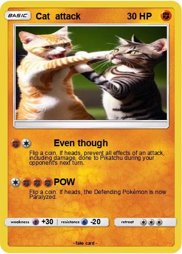Pokemon Cat  attack