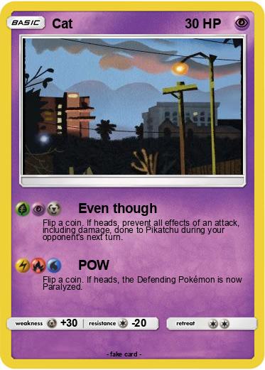 Pokemon Cat