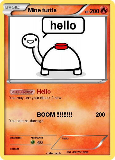 Pokemon Mine turtle