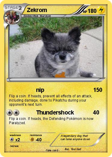 Pokemon Zekrom