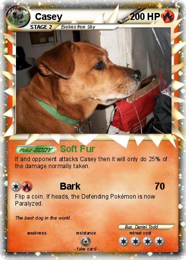 Pokemon Casey