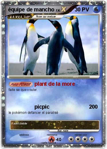 Pokemon équipe de mancho