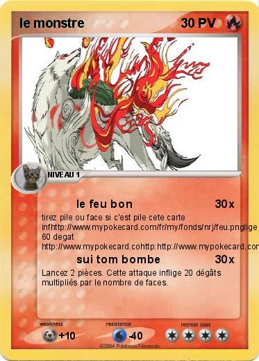 Pokemon le monstre