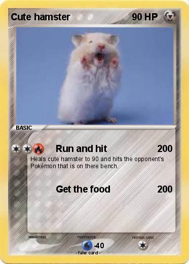 Pokemon Cute hamster