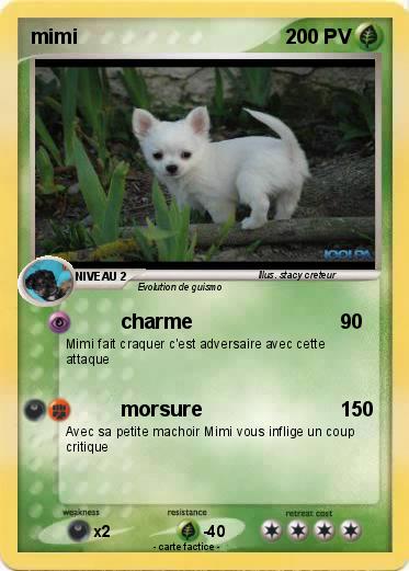 Pokemon mimi
