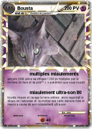 Pokemon Bousta