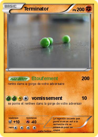 Pokemon Terminator