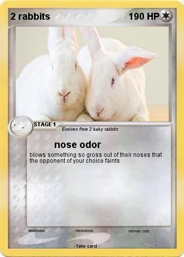 Pokemon 2 rabbits