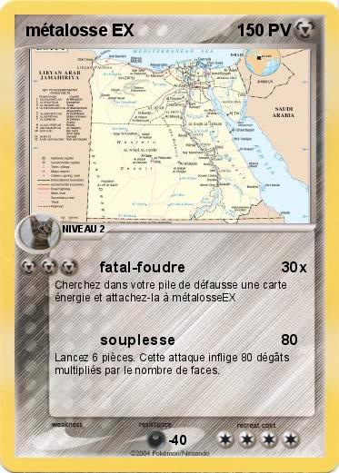 Pokemon métalosse EX