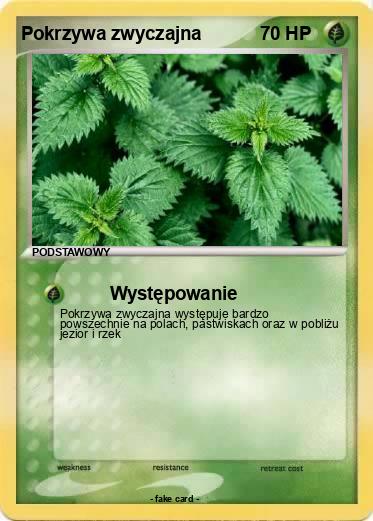 Pokemon Pokrzywa zwyczajna